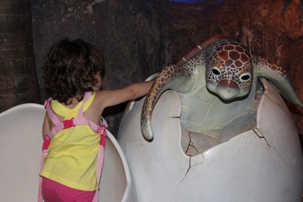 visitare l'acquario di bangkok, sea life aquarium bangkok, turtle