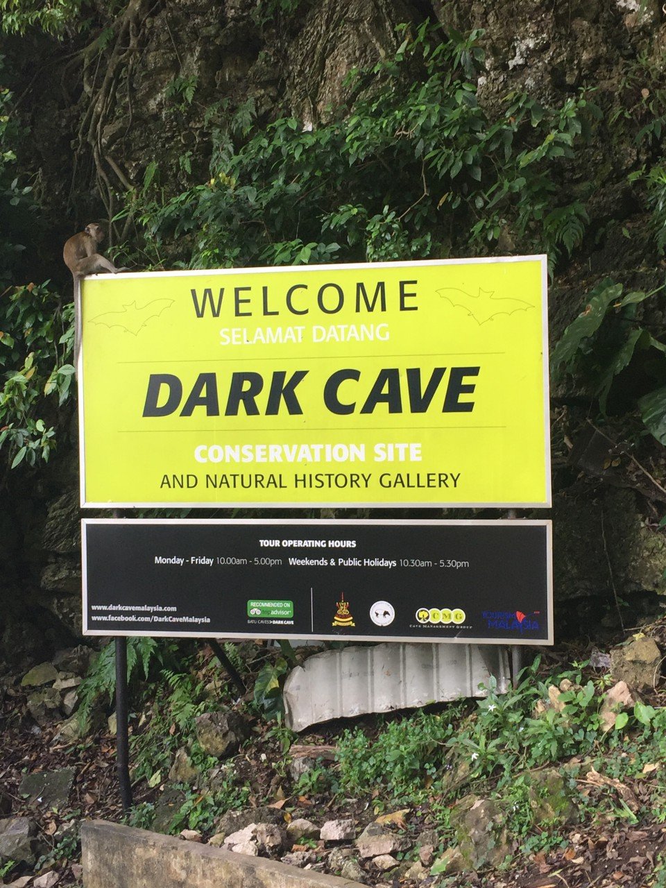 dark cave, kuala lumpur dark cave, batu caves a kuala lumpur