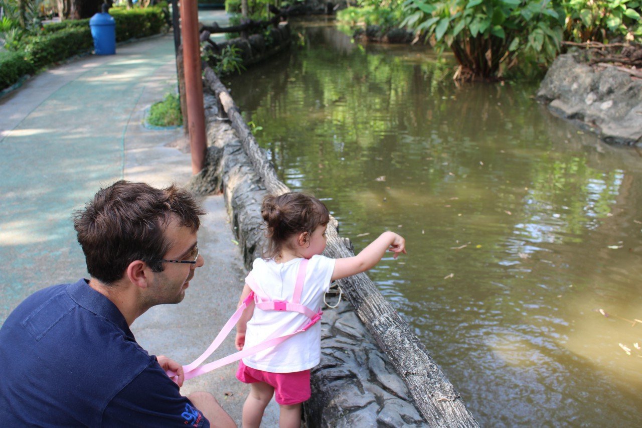 zoo, bangkok con i bambini, dusit zoo